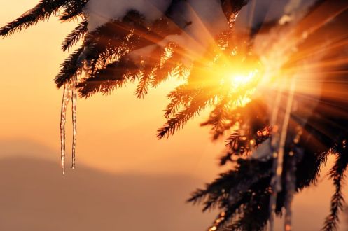 Copyright: kotenko / 123RF Stock Photo